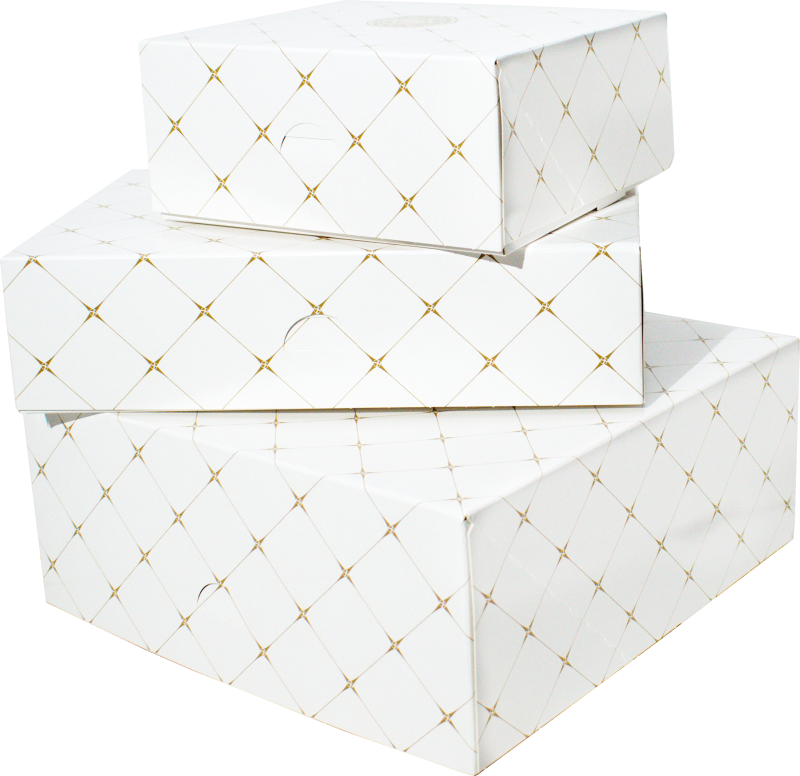 Pudełko na ciasto, wypieki 21x19x9cm - 10 szt.