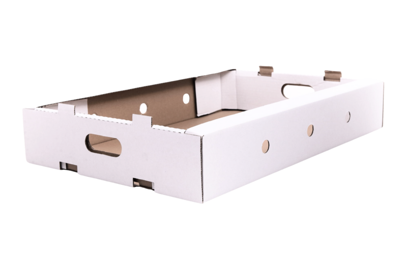 Margo Pack pączki2 – ze zmianami.png