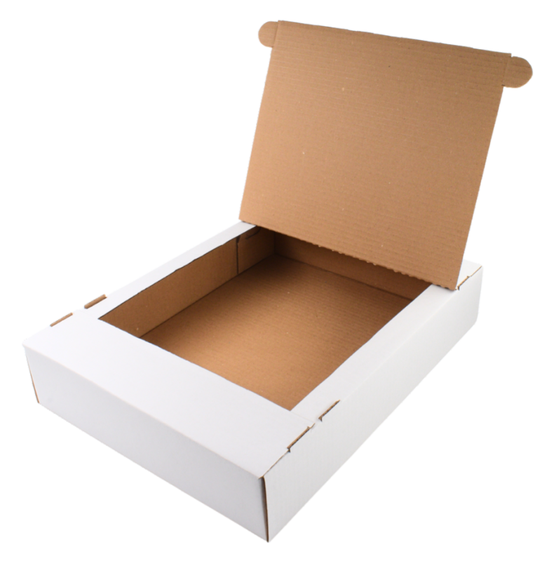 DSC_0847 – ze zmianami.png